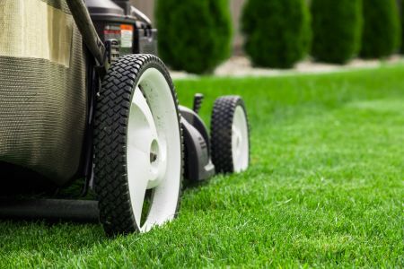 Hammond Lawn Care Services: Mowing Professionals Keeping it Clean All Year Long