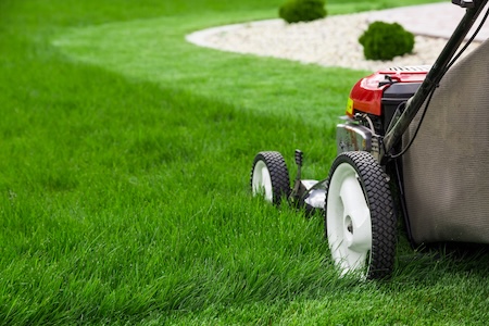 What’s Included in a Professional Lawn Maintenance Plan for Louisiana Properties?