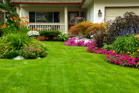Why Professional Lawn Care Rocks